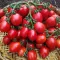 Seminte tomate Principe Borghese 200buc.