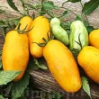 seminte tomate banana legs fructe alungite galbene 110x110