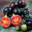 seminte tomate blackball fructe mici negre rotunde 110x110