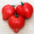 Seminte tomate Inima de Bou 100buc. seminte tomate inima de bou 110x110