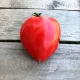 seminte tomate inima de bou2
