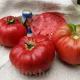 seminte tomate pink brandywine