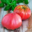 seminte tomate pink brandywine2 110x110