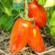 seminte tomate speckled roman