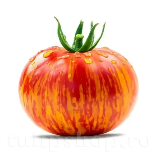 Seminte tomate Tigerella 200buc. seminte tomate tigerella fructe medii rosii cu dungata galbena