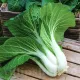 seminte varza pak choi white1