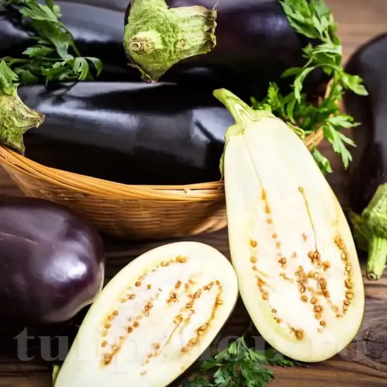 seminte vinete dragaica