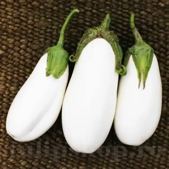Seminte vinete Halflong White 200buc. seminte vinete halflong white fructe alungite albe
