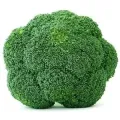 Seminte Brocoli