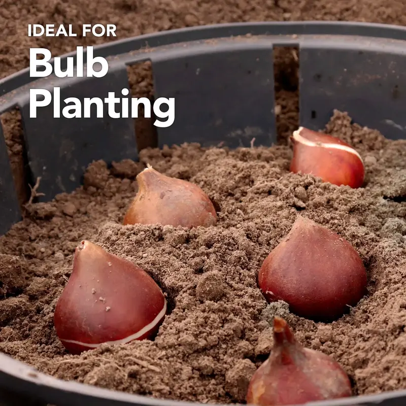 plantare ideala bulbi lalele toamna tulipshop