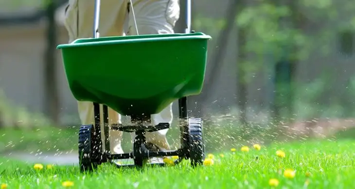 fertilizare gazon mecanizat