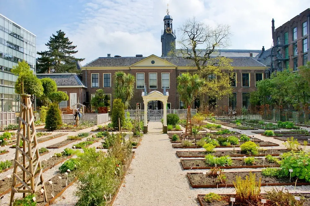 Leiden Hortus Botanicus prezent