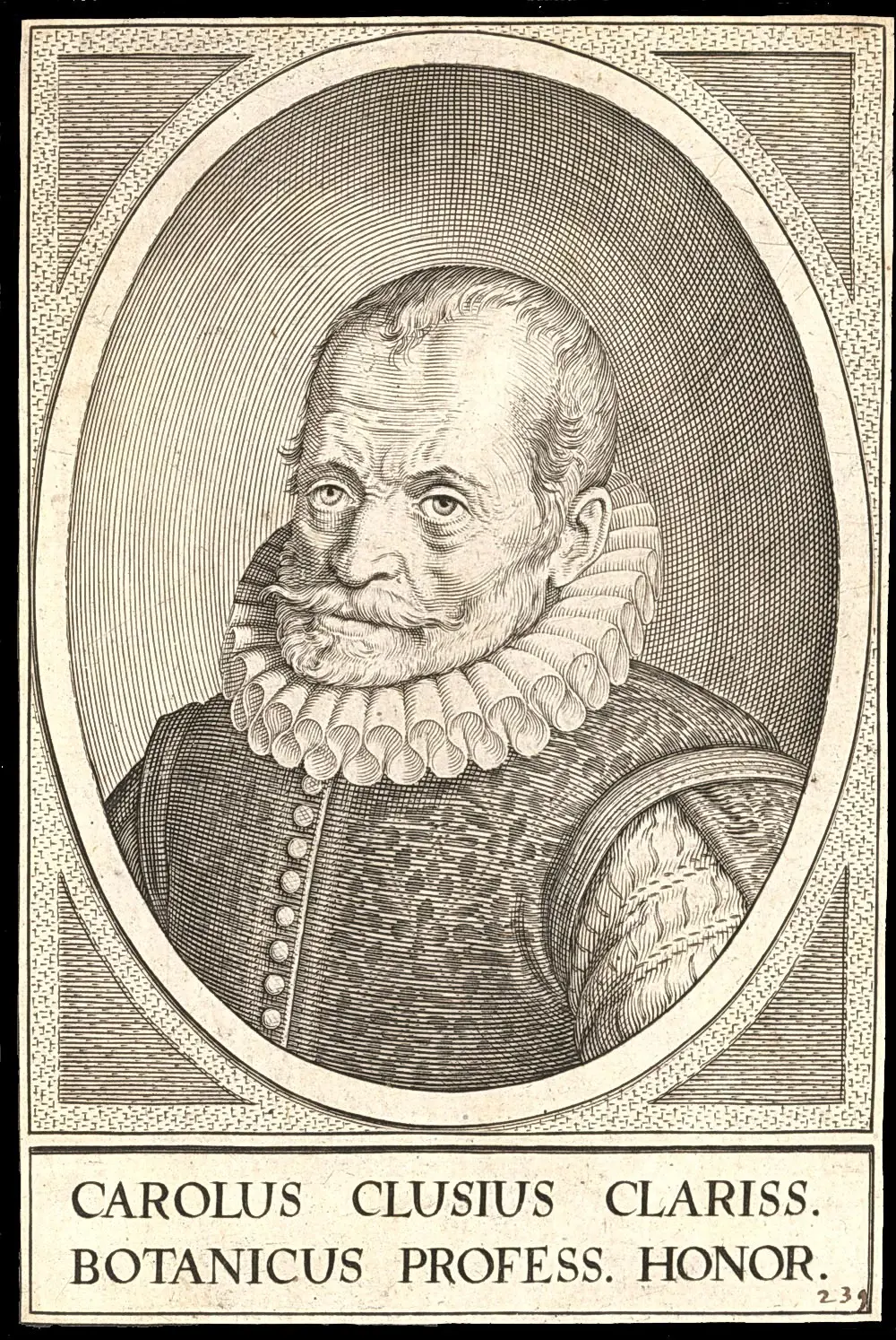 carolus clusius