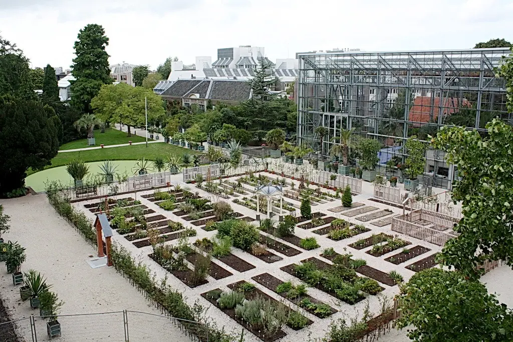 leiden hortus botanicus