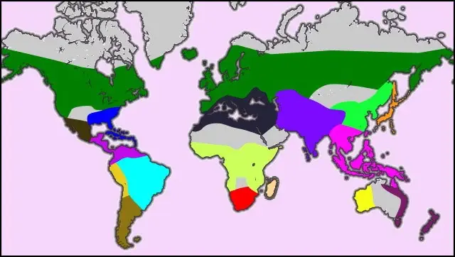 climatul orhideelor